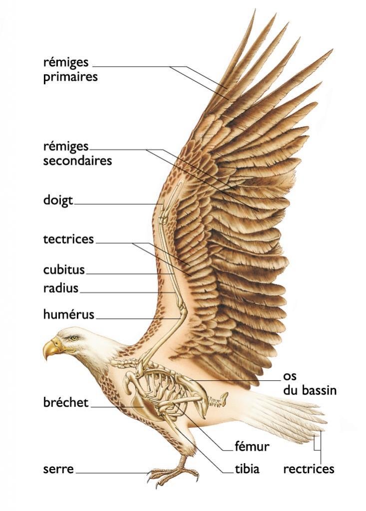 WhatsApp Image 2024-08-25 à 16.21.55_4d5f6d41