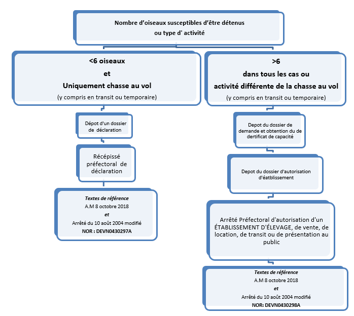 logigramme détention